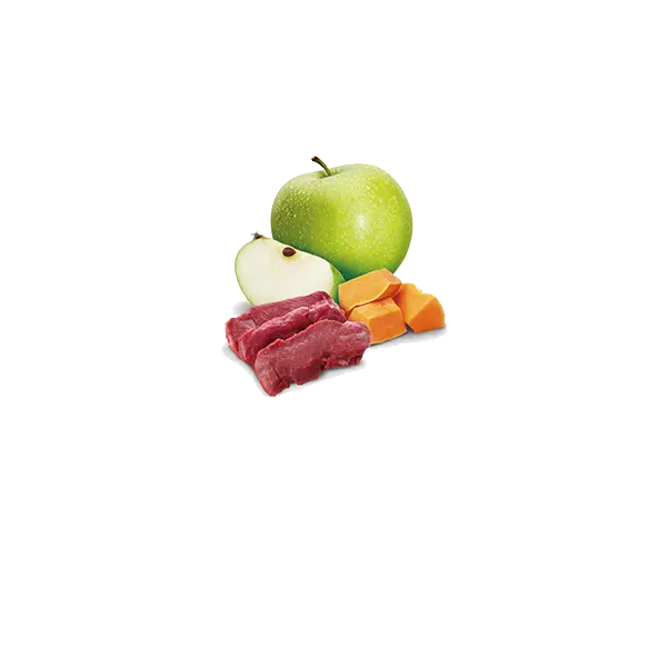 N&D DOG VENISON &PUMPKIN 285 гр – за кучета над 1 година, с еленско месо и тиква
