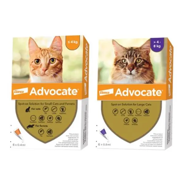 Bayer Advocate Cat - външно и вътрешно обезпаразитяване на котка до 4 кг