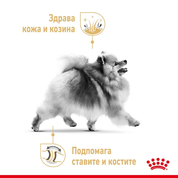 Royal Canin Pomeranian Adult - специална суха храна за кучета порода померан