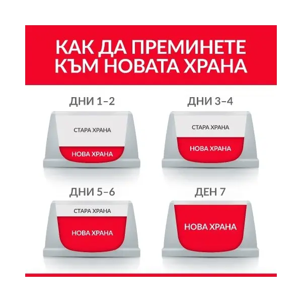 Hill's Science Plan NO GRAIN Adult Chicken - Пълноценна суха храна за котки в зряла възраст от 1 до 6 години, без съдържание на зърнени култури и глутен - 300 g