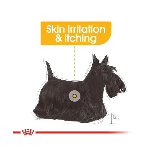 Royal Canin CCN DERMACOMFORT LOAF 12x85g - За кучета, предразположени към кожни раздразнения и сърбеж.