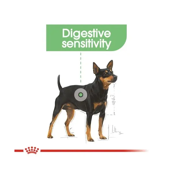 Royal Canin CCN DIGESTIVE CARE LOAF 12x85g - за кучета с чувствителна храносмилателна система