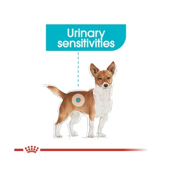 Royal Canin CCN URINARY LOAF 12x85g - За поддържане здравето на уринарния тракт при кучета