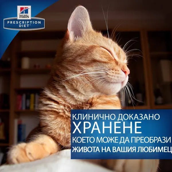 Hill's Prescription Diet d/d Venison & Green Pea - за подсилване на кожната бариера при котки, с еленско и грах - 1.5 кг