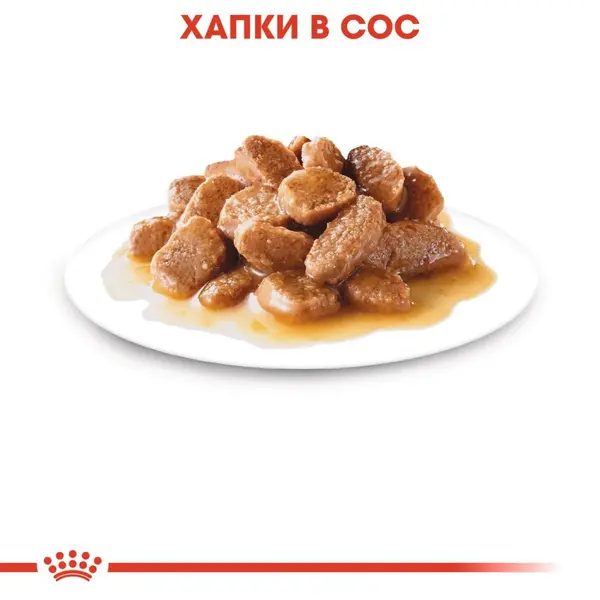 Royal Canin MINI ADULT POUCH 12x85g - Пълноценна храна за кучета в зряла възраст от дребните породи (от 1 до 10кг.) - oт 10 месеца до 12 години.
