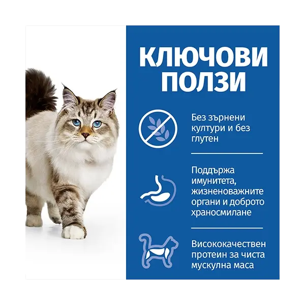Hill's Science Plan NO GRAIN Adult Chicken - Пълноценна суха храна за котки в зряла възраст от 1 до 6 години, без съдържание на зърнени култури и глутен - 300 g