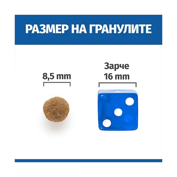 Hill's Science Plan NO GRAIN Adult Chicken - Пълноценна суха храна за котки в зряла възраст от 1 до 6 години, без съдържание на зърнени култури и глутен - 300 g
