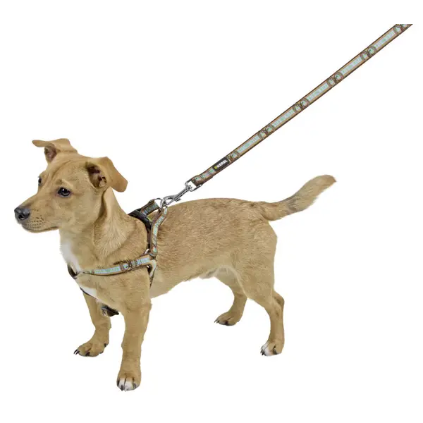 Kerbl Harness  Wild Life – Нагръдник за кучета, 25-45 см