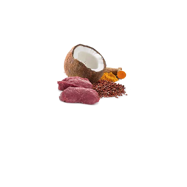 N&D Quinoa Dog Skin & Coat Venison & Coconut - пълноценна консервирана храна за кучета над 1г. с киноа, елен и кокос  - 285 гр