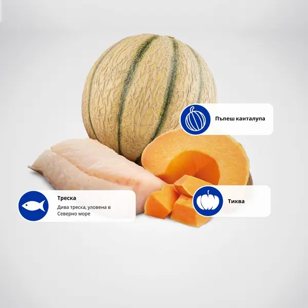 N&D Ocean Dog Cod, Pumpkin & Cantaloupe Melon Puppy Mini - пълноценна храна за подрастващи кучета до 1г. от дребните породи с тиква, риба треска и пъпеш