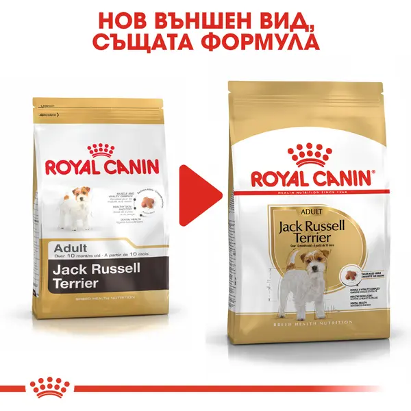 Royal Canin Jack Russel - За кучета над 10 месеца от порода Джак Ръсел териер - 1,5 кг