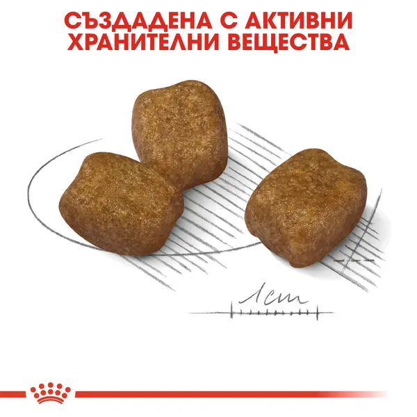 Royal Canin Mini Dental Care - пълноценна храна за кучета в зряла възраст от дребни породи (от 1 до 10 кг) над 10 месеца при чувствителни зъби