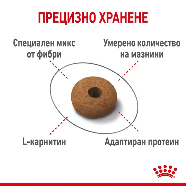 Royal Canin Appetite Control - За котки в зряла възраст за контролиране поведението на просене