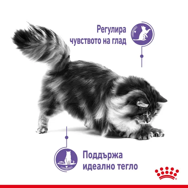 Royal Canin Appetite Control Pouch -  Пауч за котки в зряла възраст за контролиране поведението на просене - 12x85 гр