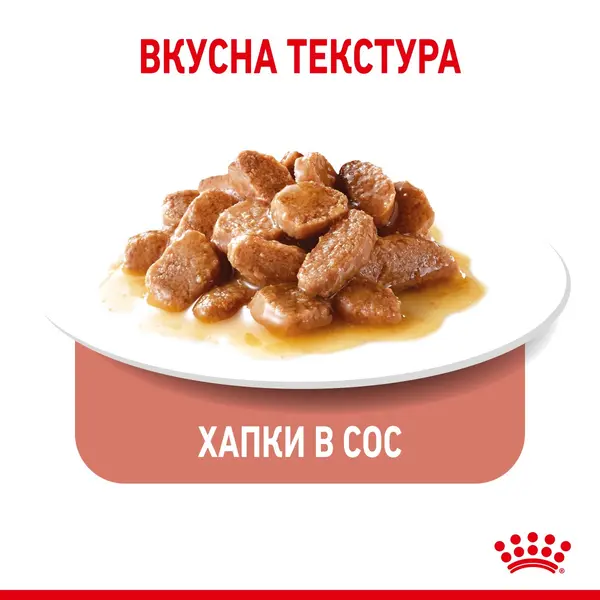 Royal Canin Appetite Control Pouch -  Пауч за котки в зряла възраст за контролиране поведението на просене - 12x85 гр