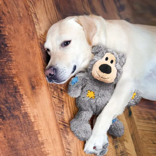 Kong Wild Knots Bear XL - играчка за куче - мече 30 см
