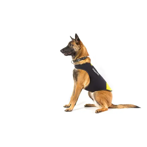 JULIUS-K9 neoprene dog jacket - неопреново яке размер L - дължина 49 см, гръдна обиколка 70-82 см