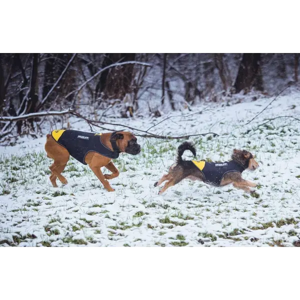 JULIUS-K9 neoprene dog jacket - неопреново яке размер XL - дължина 57 см, гръдна обиколка 70-90 см