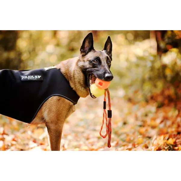 JULIUS-K9 neoprene dog jacket - неопреново яке размер XL - дължина 57 см, гръдна обиколка 70-90 см