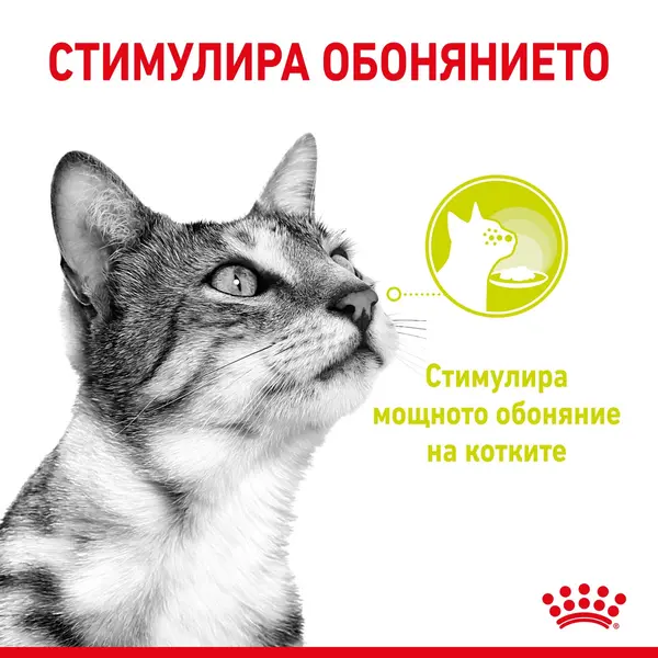Royal Canin Sensory Smell in Gravy - пълноценна мокра храна със сос в пауч за котки в зряла възраст над 1 година - 12x85 гр