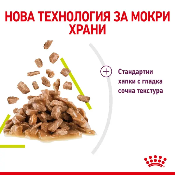 Royal Canin Sensory Smell in Gravy - пълноценна мокра храна със сос в пауч за котки в зряла възраст над 1 година - 12x85 гр