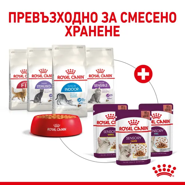 Royal Canin Sensory Smell in Gravy - пълноценна мокра храна със сос в пауч за котки в зряла възраст над 1 година - 12x85 гр