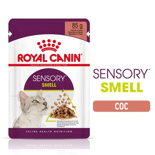 Royal Canin Sensory Smell in Gravy - пълноценна мокра храна със сос в пауч за котки в зряла възраст над 1 година - 12x85 гр