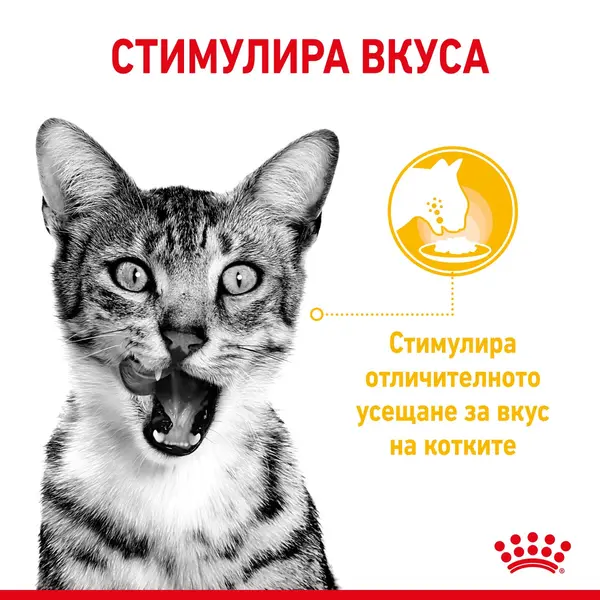 Royal Canin Sensory Taste in Gravy - пълноценна мокра храна със сос в пауч за котки в зряла възраст над 1 година - 12x85 гр
