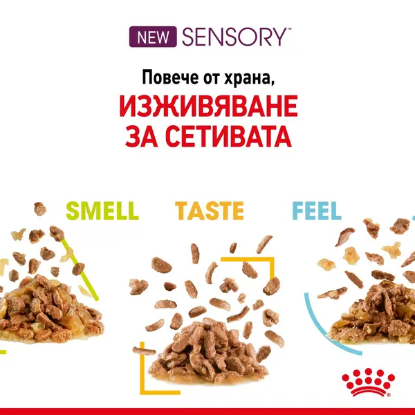 Royal Canin Sensory Taste in Gravy - пълноценна мокра храна със сос в пауч за котки в зряла възраст над 1 година - 12x85 гр