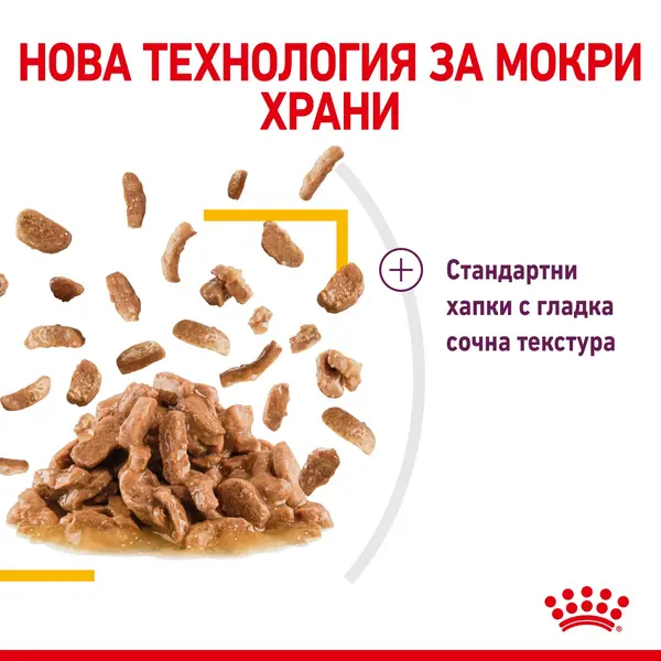 Royal Canin Sensory Taste in Gravy - пълноценна мокра храна със сос в пауч за котки в зряла възраст над 1 година - 12x85 гр