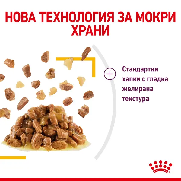Royal Canin Sensory Taste in Jelly - пълноценна мокра храна хапки в желе в пауч за котки в зряла възраст над 1 година - 12x85 гр