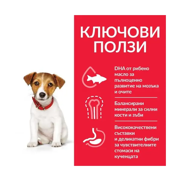 Hill’s Science Plan Puppy Small & Mini с агнешко - Пълноценна суха храна за дребни и миниатюрни породи кучета от отбиване до 1 година. За бременни и кърмещи кучета - 300 гр