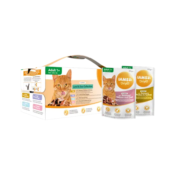 IAMS Cat Pouch Mega Pack Land and Sea Collection in Gravy - Паучове за котка , микс вкусове с месо и с риба  в сос грейви - 48 х 85 гр