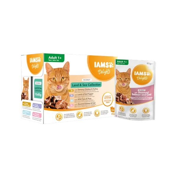 IAMS Cat Pouch Land and Sea Collection in Gravy - Паучове за котка , микс вкусове с месо и с риба  в сос грейви - 12 х 85 гр