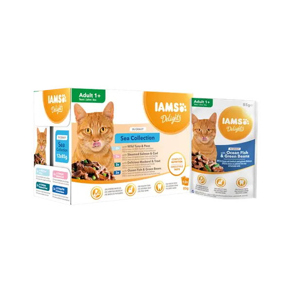 IAMS Cat Pouch Sea Collection in Gravy - Паучове за котка , микс вкусове с риба в сос грейви - 12 х 85 гр