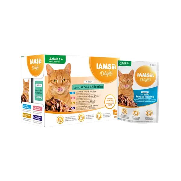 IAMS Cat Pouch Land & Sea Collection in Jelly  - Паучове за котка, микс вкусове с месо и с риба в желе - 12 х 85 гр