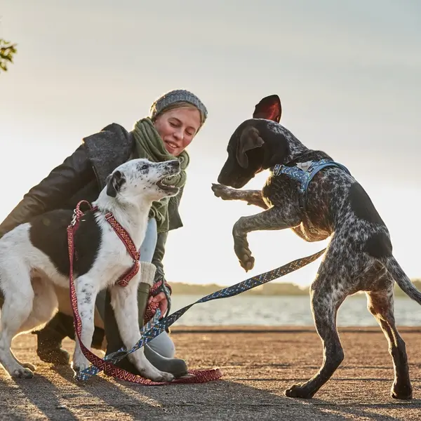 Hurtta RAZZLE ECO haraness - нагръдник за куче, ЧЕРВЕН, 35-45 см