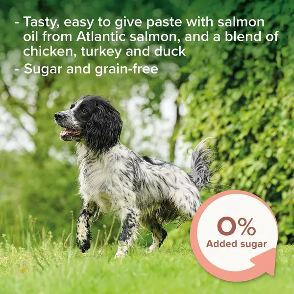 Beaphar Salmon Oil Paste for Dogs - Паста за кучета с масло от сьомга - 100 г