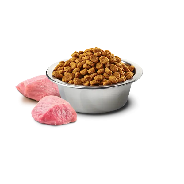 N&D PRIME Cat Chicken & Pomegranate Adult – пълноценна храна за котки над 1 година, с пиле и нар