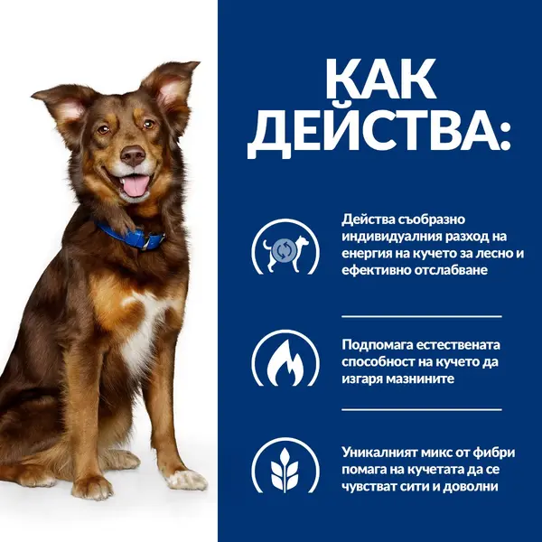 Hill's PRESCRIPTION DIET Metabolic Lamb & Rice - лечебна суха храна за кучета с наднормено тегло, с агнешко и ориз -12 кг