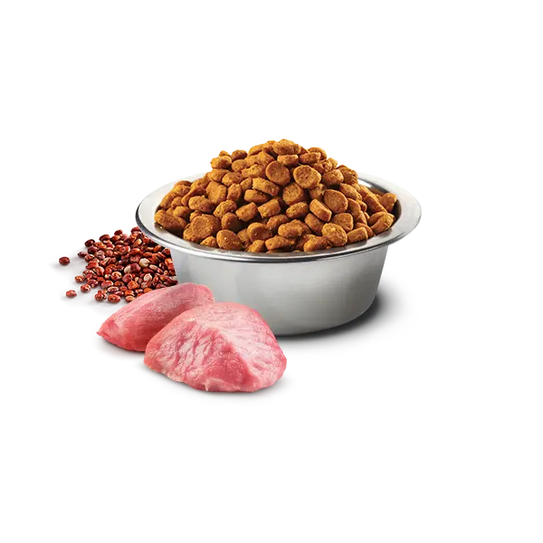 N&D Quinoa Weight Management Lamb MINI Dog - суха храна за кучета над 1г. от дребни породи с агнешко, киноа, броколи и аспержи. - 800гр.