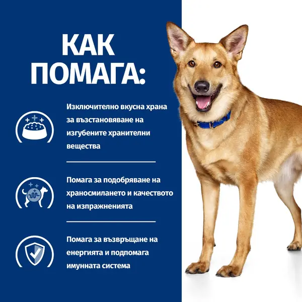 Hill's PRESCRIPTION DIET i/d Digestive Care AB+ Stew - лечебна мокра храна за кучета с храносмилателни разстройства и за възстановяване – консерва задушено пилешко със зеленчуци - 0.354 kг