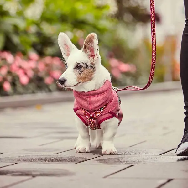 Hurtta RAZZLE ECO Standard Leash - повод за куче, ЧЕРВЕН, 180 см / 15 мм