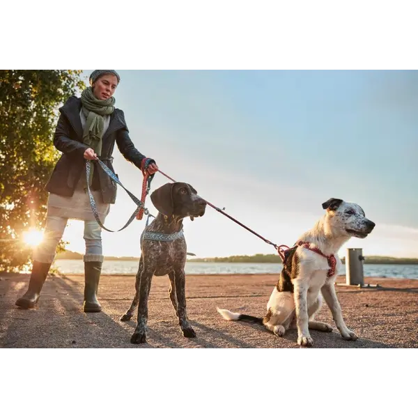 Hurtta RAZZLE ECO Standard Leash - повод за куче, ЧЕРВЕН, 180 см / 15 мм
