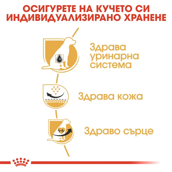 ROYAL CANIN® DALMATIAN - Пълноценна суха храна за далматинци в зряла възраст над 15 месеца - 12кг.
