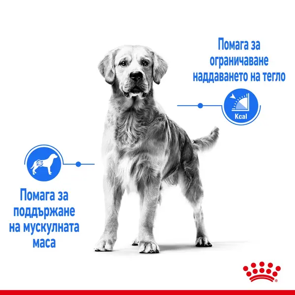 ROYAL CANIN® MEDIUM LIGHT WEIGHT CARE - Пълноценна суха храна за кучета от средни породи над 12 месеца