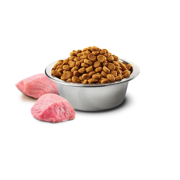 N&D DOG TROPICAL SELECTION CHICKEN ADULT MINI - Суха храна за кучета над 1 год. от дребните породи, с пилешко, спелта, овес и тропически плодове - 5кг