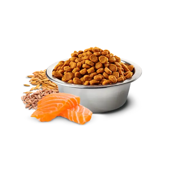 N&D DOG TROPICAL SELECTION SALMON ADULT MINI 1,5 kg - Суха храна за кучета над 1 година от дребните породи, със сьомга, спелта, овес и тропически плодове - 1.5кг