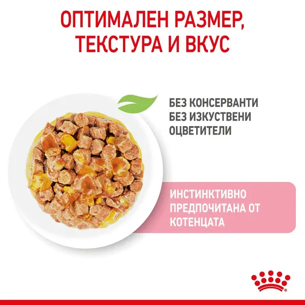 Royal Canin Kitten in Jelly - Пауч за подрастващи котенца хапки в желе 12x85g