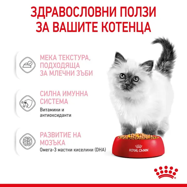 Royal Canin Kitten in Jelly - Пауч за подрастващи котенца хапки в желе 12x85g